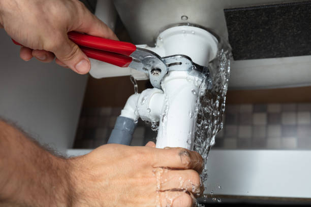 Water damage restoration mold remediation in Fernley, NV