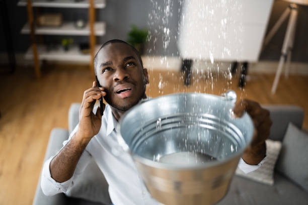 Best Professional water damage repair  in Fernley, NV