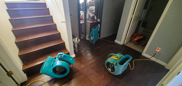 Trusted Fernley, NV Water damage restoration Experts