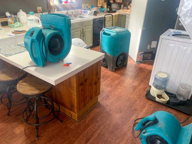 Best Water damage cleanup near me  in Fernley, NV