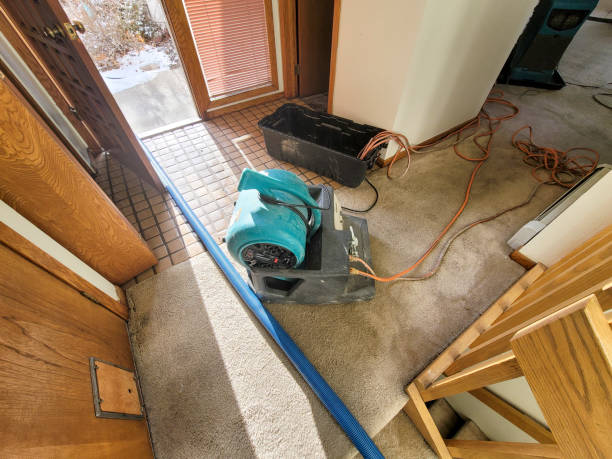 Best Fire Damage Restoration  in Fernley, NV
