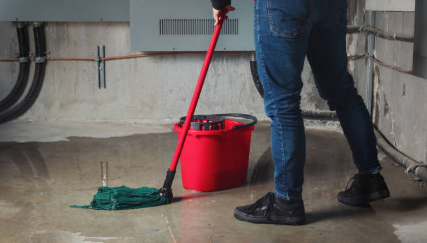 Best Water damage restoration insurance claims  in Fernley, NV