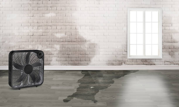 Water damage restoration insurance claims in Fernley, NV