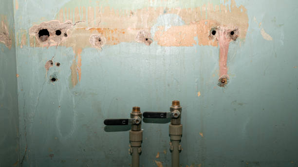 Best Emergency water damage restoration  in Fernley, NV